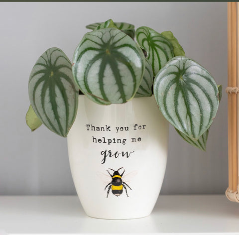 Thank you for helping me grow plant pot
