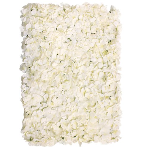 Hydrangea Flower Wall