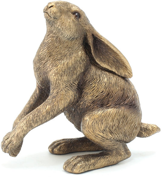 Bronzed Reflection Hare