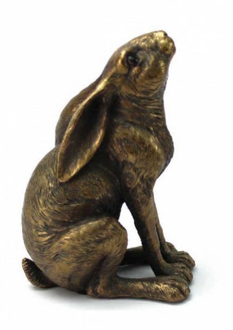 Gazing Bronze Hare