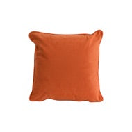 Velvet Cushions